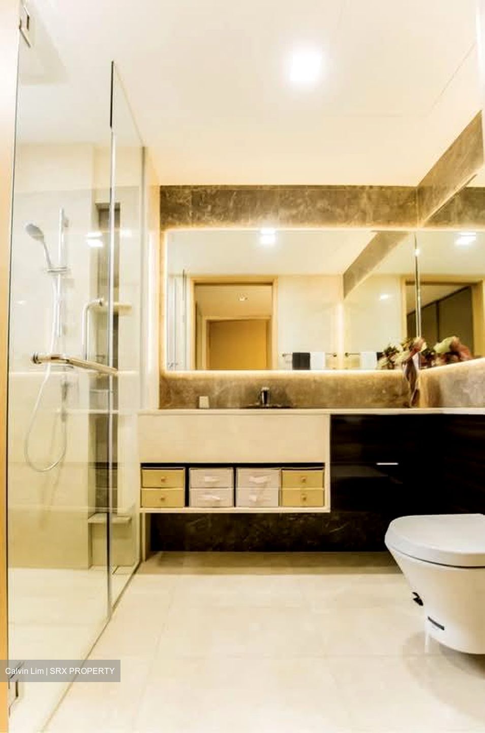 Commonwealth Towers (D3), Condominium #545844801